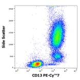 Flow Cytometry - Anti-CD13 Antibody [WM15] (PE-Cyanine 7) (A285817) - Antibodies.com