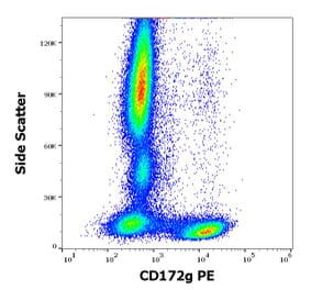 Flow Cytometry - Anti-CD172 gamma Antibody [OX-119] (PE) (A285821) - Antibodies.com