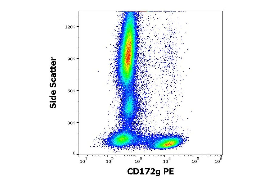 Flow Cytometry - Anti-CD172 gamma Antibody [OX-119] (PE) (A285821) - Antibodies.com