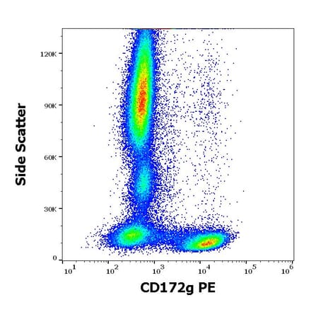Flow Cytometry - Anti-CD172 gamma Antibody [OX-119] (PE) (A285821) - Antibodies.com