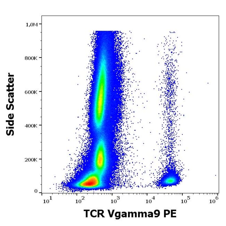 Flow Cytometry - Anti-TCR V gamma 9 Antibody [B3] (PE) (A285824) - Antibodies.com