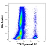 Flow Cytometry - Anti-TCR V gamma 9 Antibody [B3] (PE) (A285824) - Antibodies.com