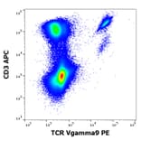 Flow Cytometry - Anti-TCR V gamma 9 Antibody [B3] (PE) (A285823) - Antibodies.com