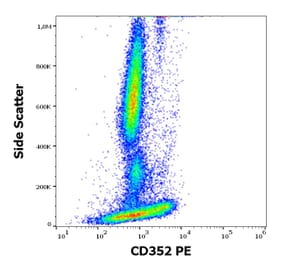 Flow Cytometry - Anti-CD352 Antibody [hsF6.4.20] (PE) (A285824) - Antibodies.com
