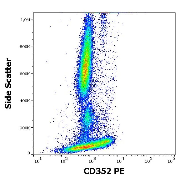 Flow Cytometry - Anti-CD352 Antibody [hsF6.4.20] (PE) (A285824) - Antibodies.com