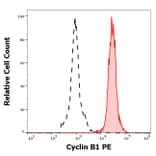 Flow Cytometry - Anti-Cyclin B1 Antibody [V152] (PE) (A285828) - Antibodies.com