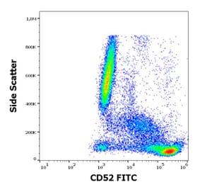 Flow Cytometry - Anti-CD52 Antibody [4C8] (FITC) (A285837) - Antibodies.com