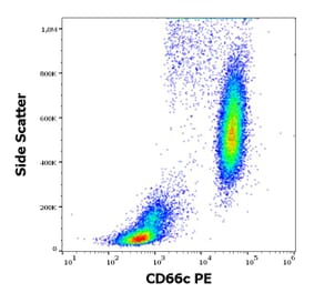 Flow Cytometry - Anti-CD66c Antibody [B6.2] (PE) (A285839) - Antibodies.com