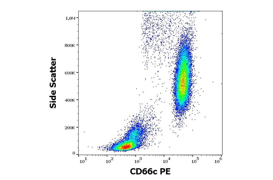 Flow Cytometry - Anti-CD66c Antibody [B6.2] (PE) (A285839) - Antibodies.com