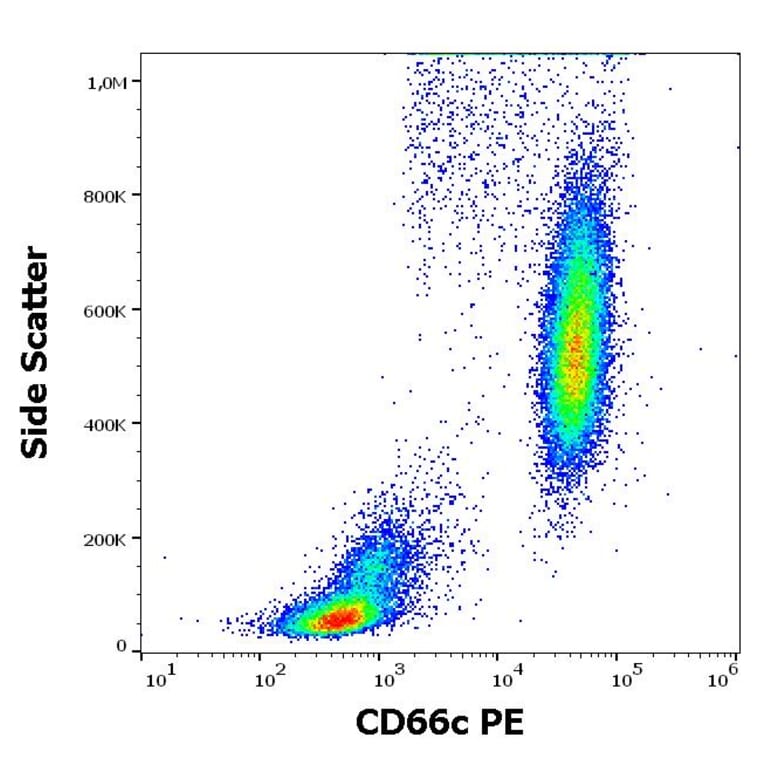 Flow Cytometry - Anti-CD66c Antibody [B6.2] (PE) (A285839) - Antibodies.com