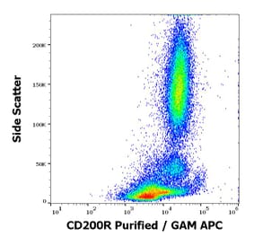 Flow Cytometry - Anti-CD200R Antibody [OX-108] (A285854) - Antibodies.com