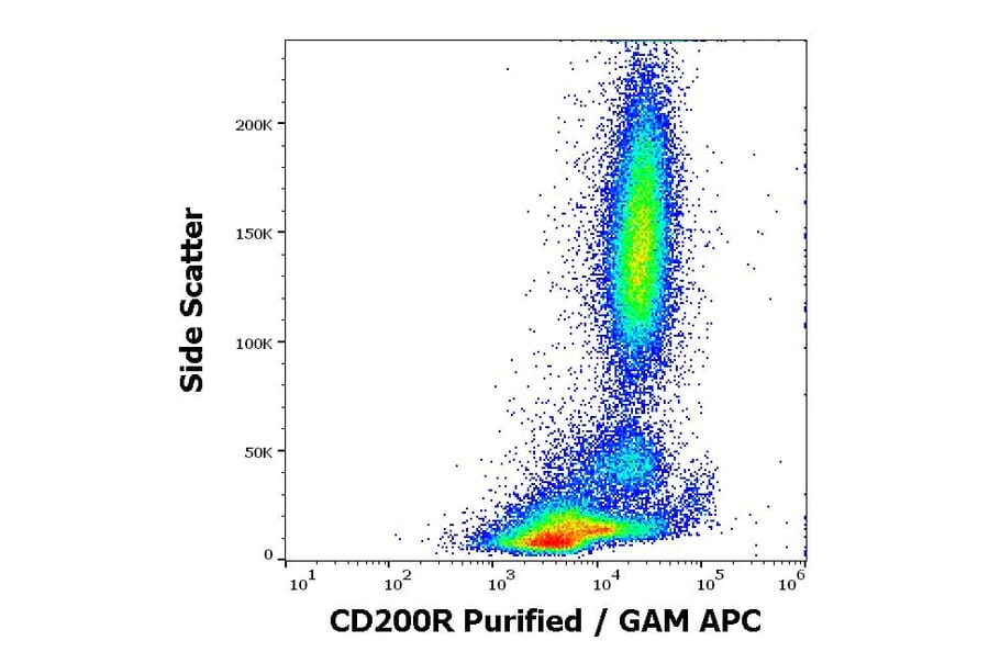 Flow Cytometry - Anti-CD200R Antibody [OX-108] (A285854) - Antibodies.com