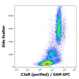 Flow Cytometry - Anti-C3AR Antibody [HC3aRZ8] (A285857) - Antibodies.com