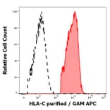 Flow Cytometry - Anti-HLA C Antibody [DT-9] (A285864) - Antibodies.com