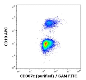 Flow Cytometry - Anti-CD307c Antibody [H5] (A285865) - Antibodies.com