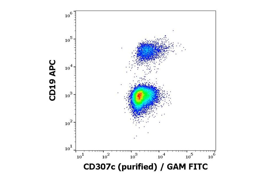 Flow Cytometry - Anti-CD307c Antibody [H5] (A285865) - Antibodies.com