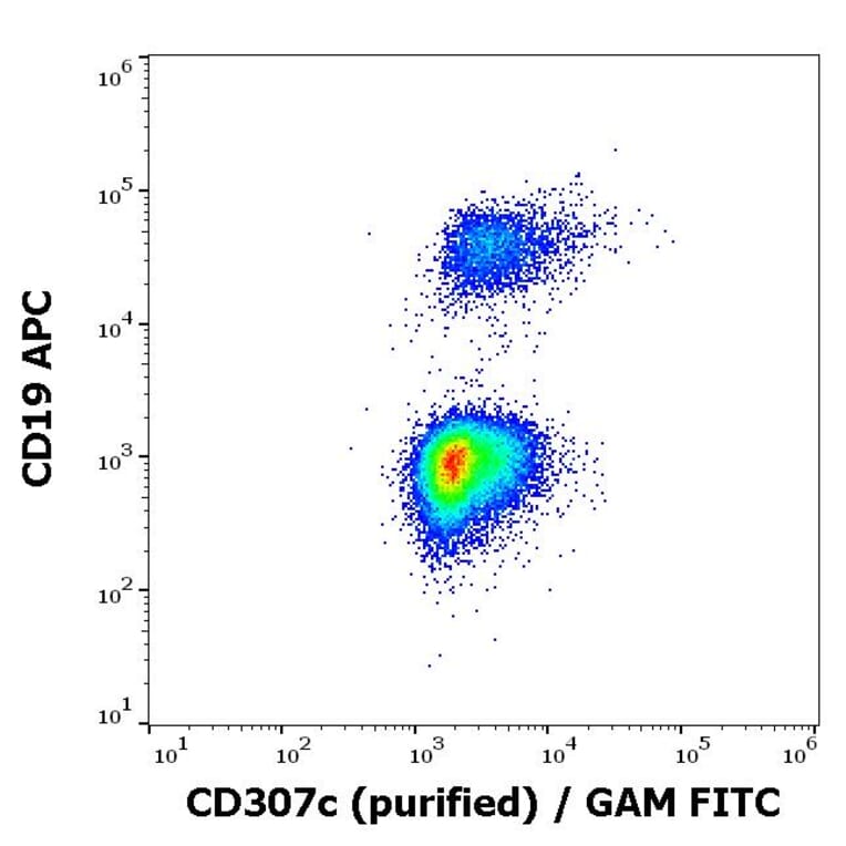 Flow Cytometry - Anti-CD307c Antibody [H5] (A285865) - Antibodies.com