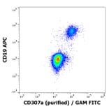 Flow Cytometry - Anti-CD307a Antibody [E3] (A285867) - Antibodies.com