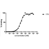 ELISA - Anti-HDAC6 Antibody [178] (A285869)