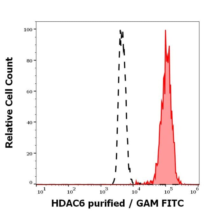 Flow Cytometry - Anti-HDAC6 Antibody [236] (A285872)
