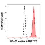 Flow Cytometry - Anti-HDAC6 Antibody [236] (A285872)