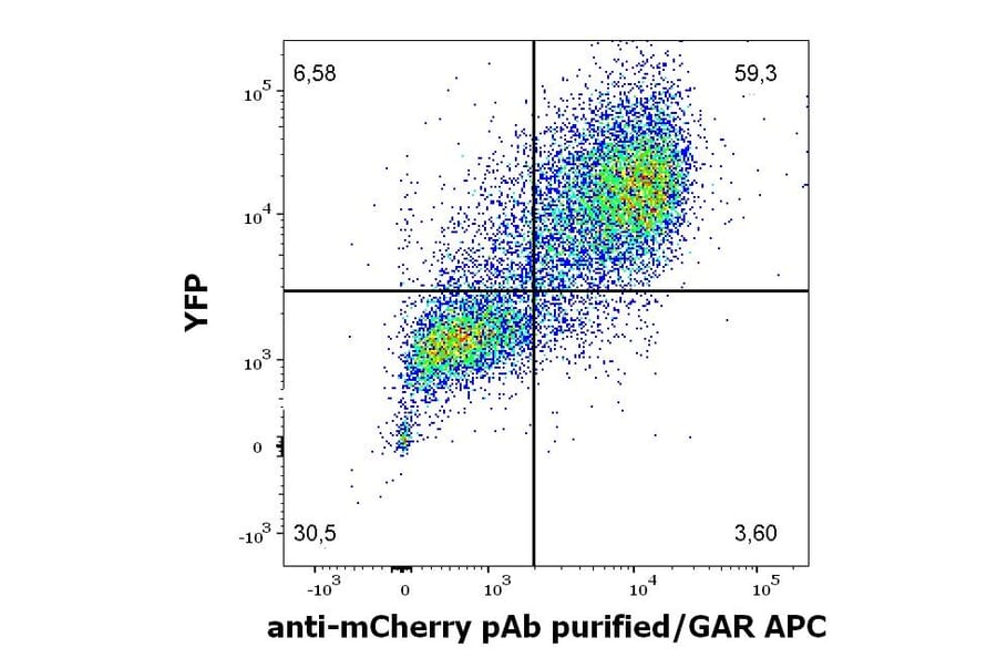 Flow Cytometry - Anti-mCherry Antibody (A285873) - Antibodies.com