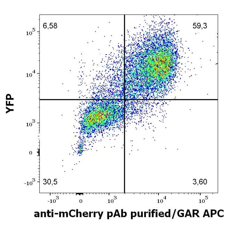 Flow Cytometry - Anti-mCherry Antibody (A285873) - Antibodies.com
