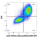 Flow Cytometry - Anti-mPlum Antibody (A285874) - Antibodies.com