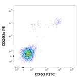 Flow Cytometry - Recombinant Ves v 1 (1.0101) Protein (A285881) - Antibodies.com