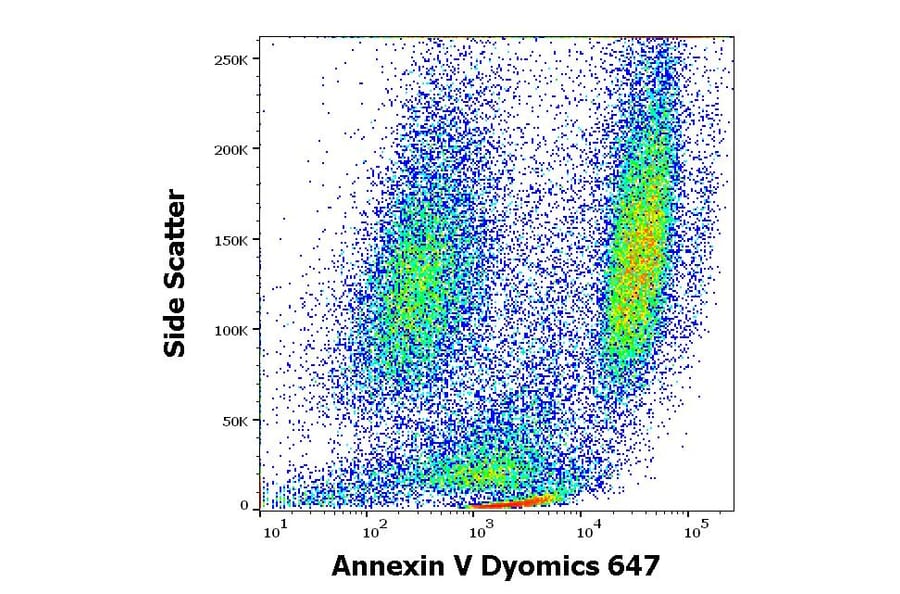Flow Cytometry - Annexin V (Dyomics 647) (A285885) - Antibodies.com