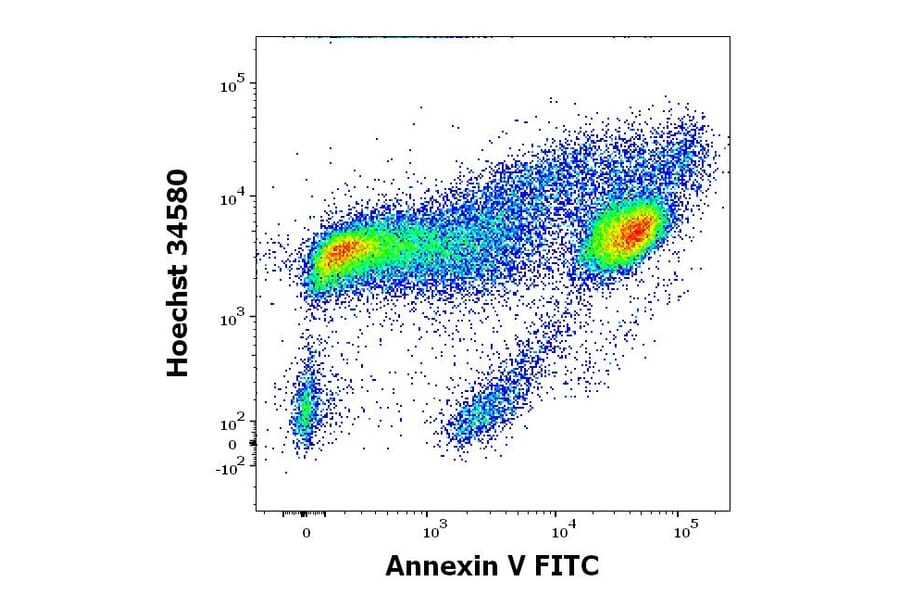 Flow Cytometry - Annexin V (FITC) (A285886) - Antibodies.com