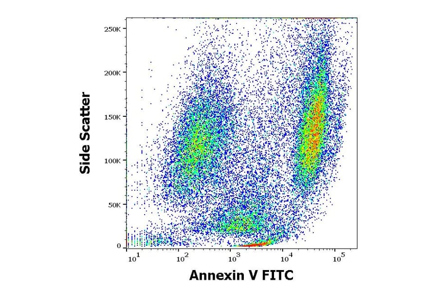 Flow Cytometry - Annexin V (FITC) (A285886) - Antibodies.com