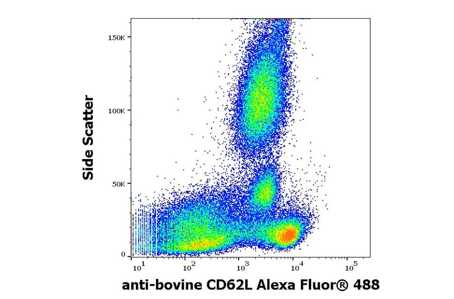 Flow Cytometry - Anti-CD62L Antibody [IVA94] (Alexa Fluor® 488) (A285892) - Antibodies.com
