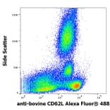 Flow Cytometry - Anti-CD62L Antibody [IVA94] (Alexa Fluor® 488) (A285892) - Antibodies.com