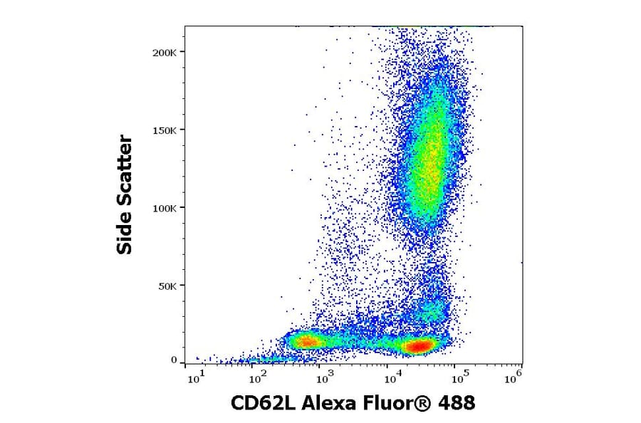 Flow Cytometry - Anti-CD62L Antibody [IVA94] (Alexa Fluor® 488) (A285893) - Antibodies.com