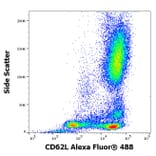 Flow Cytometry - Anti-CD62L Antibody [IVA94] (Alexa Fluor® 488) (A285893) - Antibodies.com