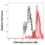 Flow Cytometry - Anti-TIAR Antibody [6E3] (Alexa Fluor® 488) (A285909) - Antibodies.com