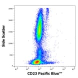 Flow Cytometry - Anti-CD23 Antibody [EBVCS-5] (Pacific Blue) (A285907) - Antibodies.com