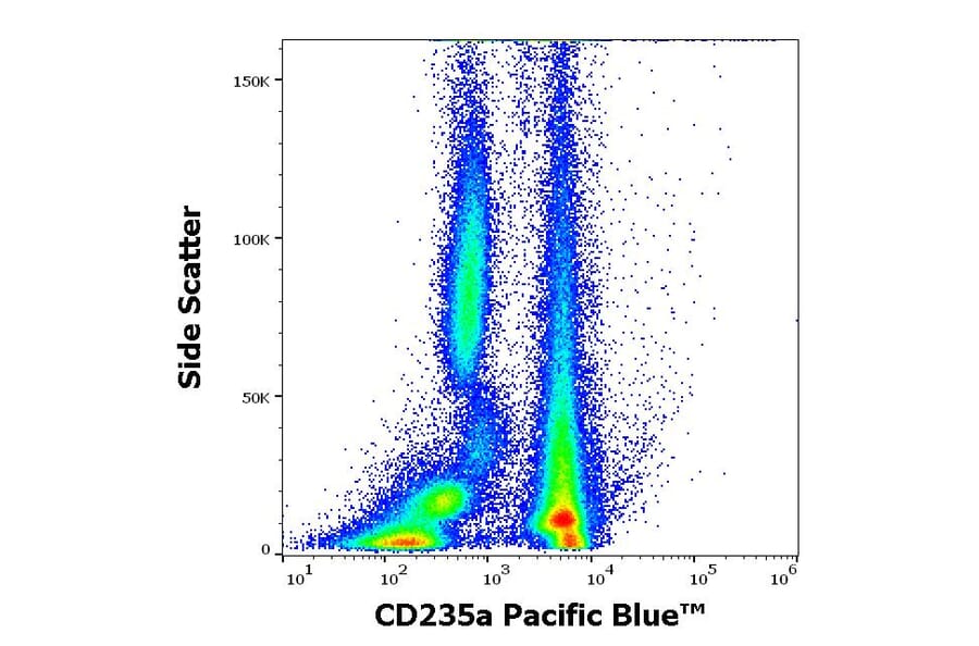 Flow Cytometry - Anti-CD235a Antibody [JC159] (Pacific Blue) (A285909) - Antibodies.com