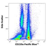 Flow Cytometry - Anti-CD235a Antibody [JC159] (Pacific Blue) (A285909) - Antibodies.com