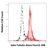 Flow Cytometry - Anti-beta Tubulin Antibody [TU-12] (Alexa Fluor® 488) (A285918) - Antibodies.com