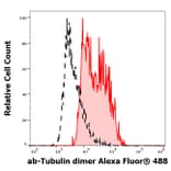 Flow Cytometry - Anti-alpha Tubulin + beta Tubulin Antibody [TU-10] (Alexa Fluor® 488) (A285893) - Antibodies.com