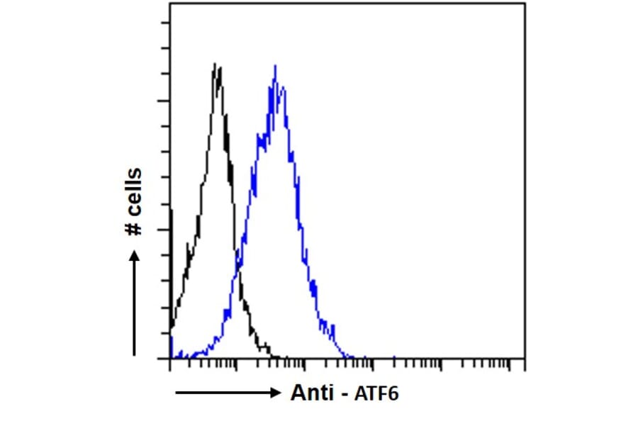 Flow Cytometry - Anti-ATF6 Antibody (A285927) - Antibodies.com