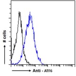 Flow Cytometry - Anti-ATF6 Antibody (A285927) - Antibodies.com