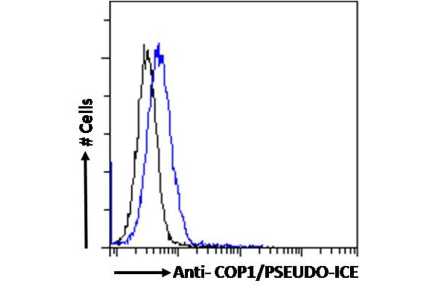 Flow Cytometry - Anti-COP Antibody (A285928) - Antibodies.com