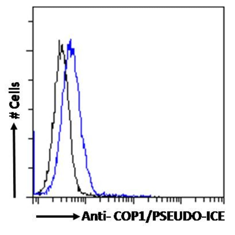 Flow Cytometry - Anti-COP Antibody (A285928) - Antibodies.com