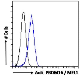 Flow Cytometry - Anti-PRDM16 Antibody (A285929) - Antibodies.com