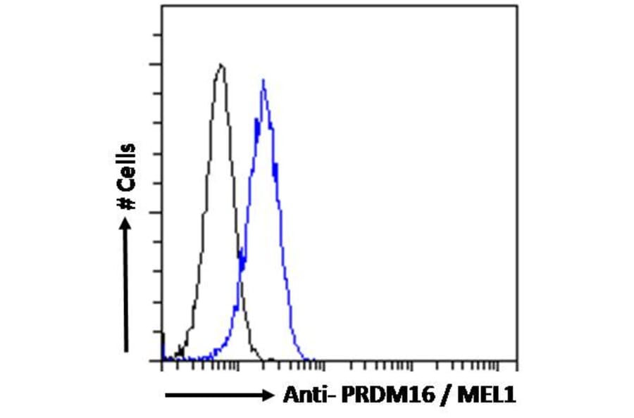 Flow Cytometry - Anti-PRDM16 Antibody (A285929) - Antibodies.com