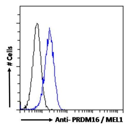 Flow Cytometry - Anti-PRDM16 Antibody (A285929) - Antibodies.com