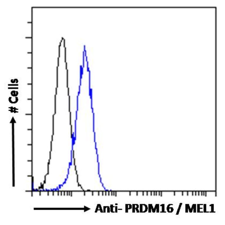 Flow Cytometry - Anti-PRDM16 Antibody (A285929) - Antibodies.com